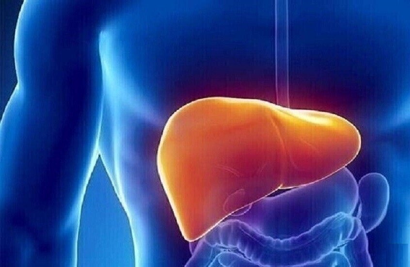 دراسة تكشف تأثير تناول الطعام في وقت متأخر من الليل على الكبد