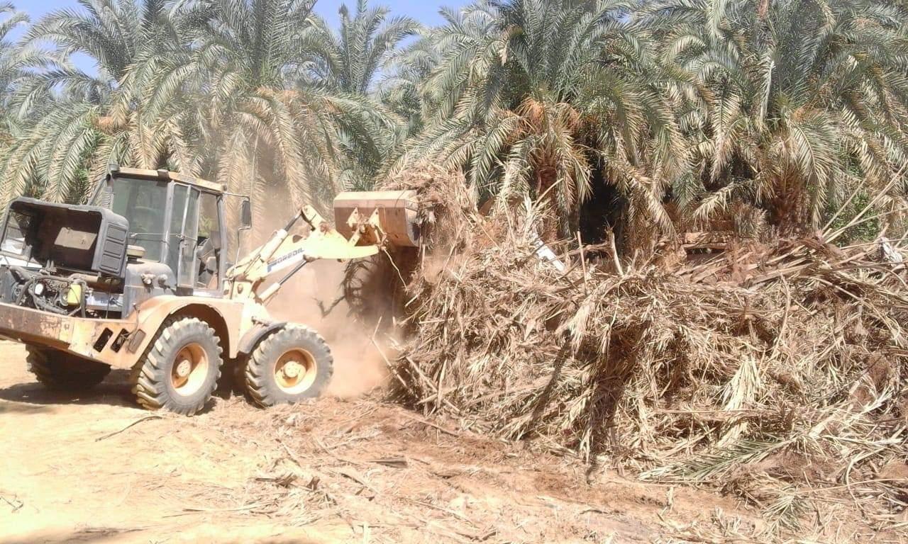 الإستحبارات تطيح بشبكة خطيرة لتزوير السندات وتجريف الأراضي الزراعية في بغداد