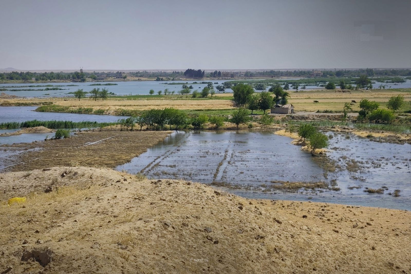 لقطات جوية توثق غمر مساحات زراعية قرب جسر أبو الحسن والرمادي بريف البوكمال