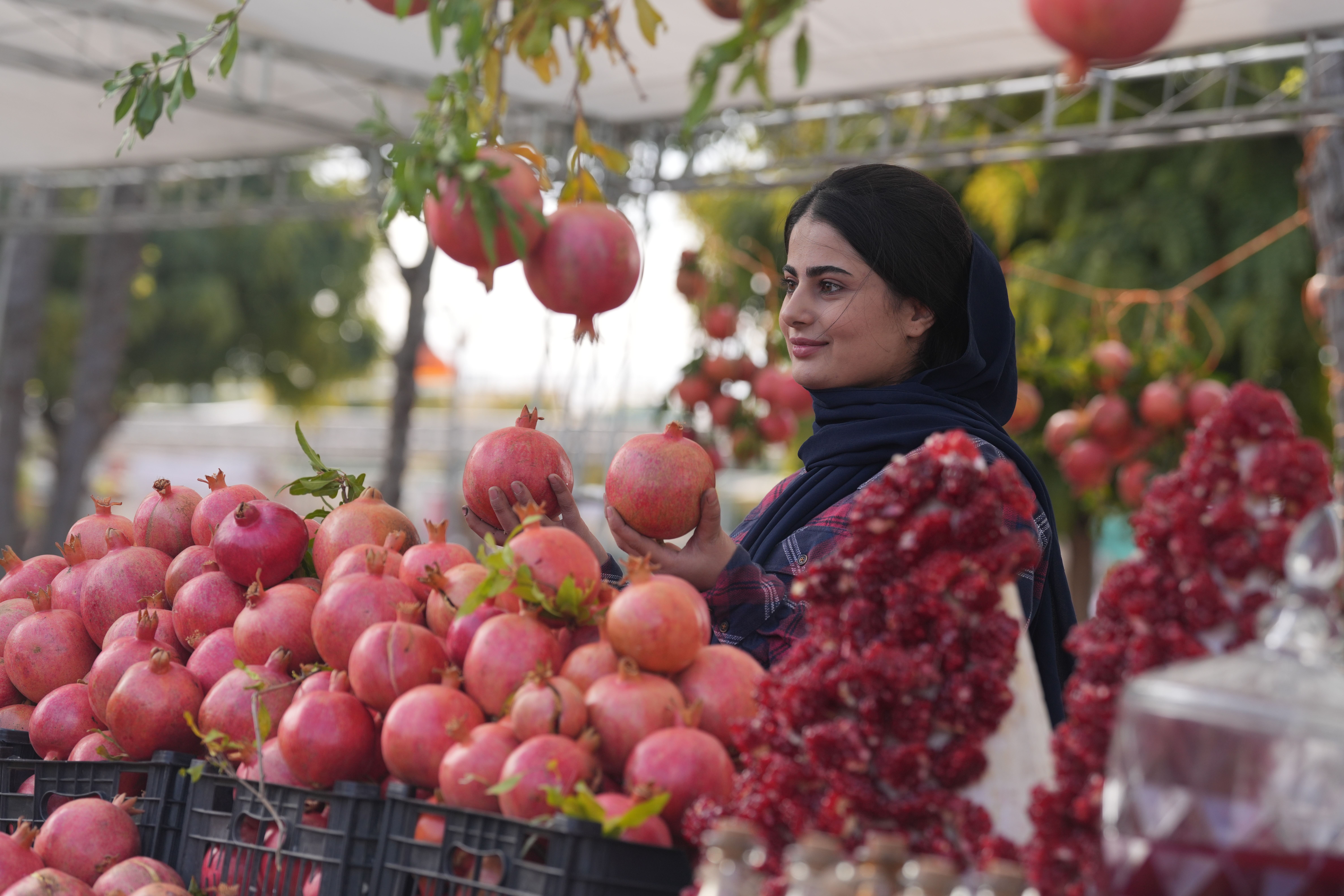 فێستیڤاڵى هەنار فۆتۆ؛ حەمە سوور