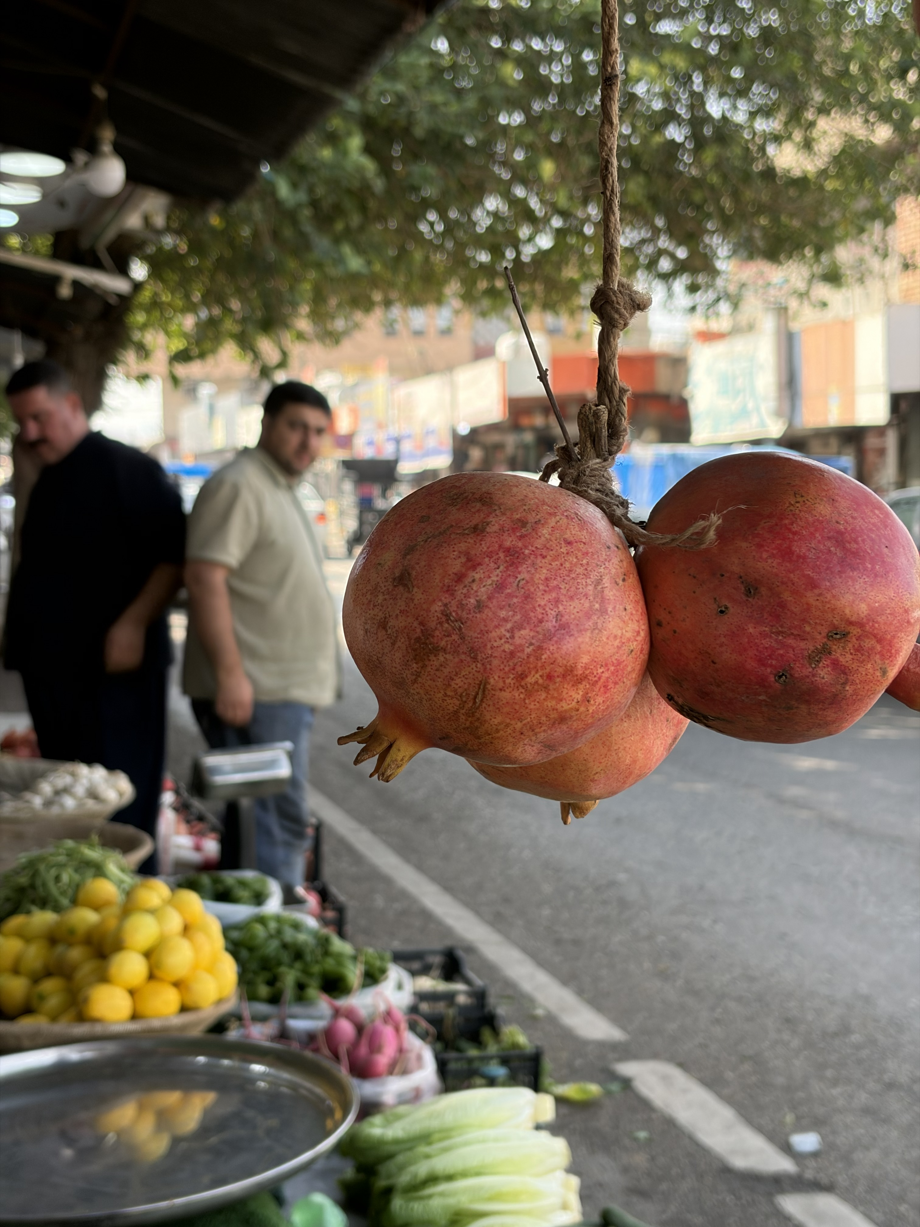 Halabja Awaits Pomegranate Festival 