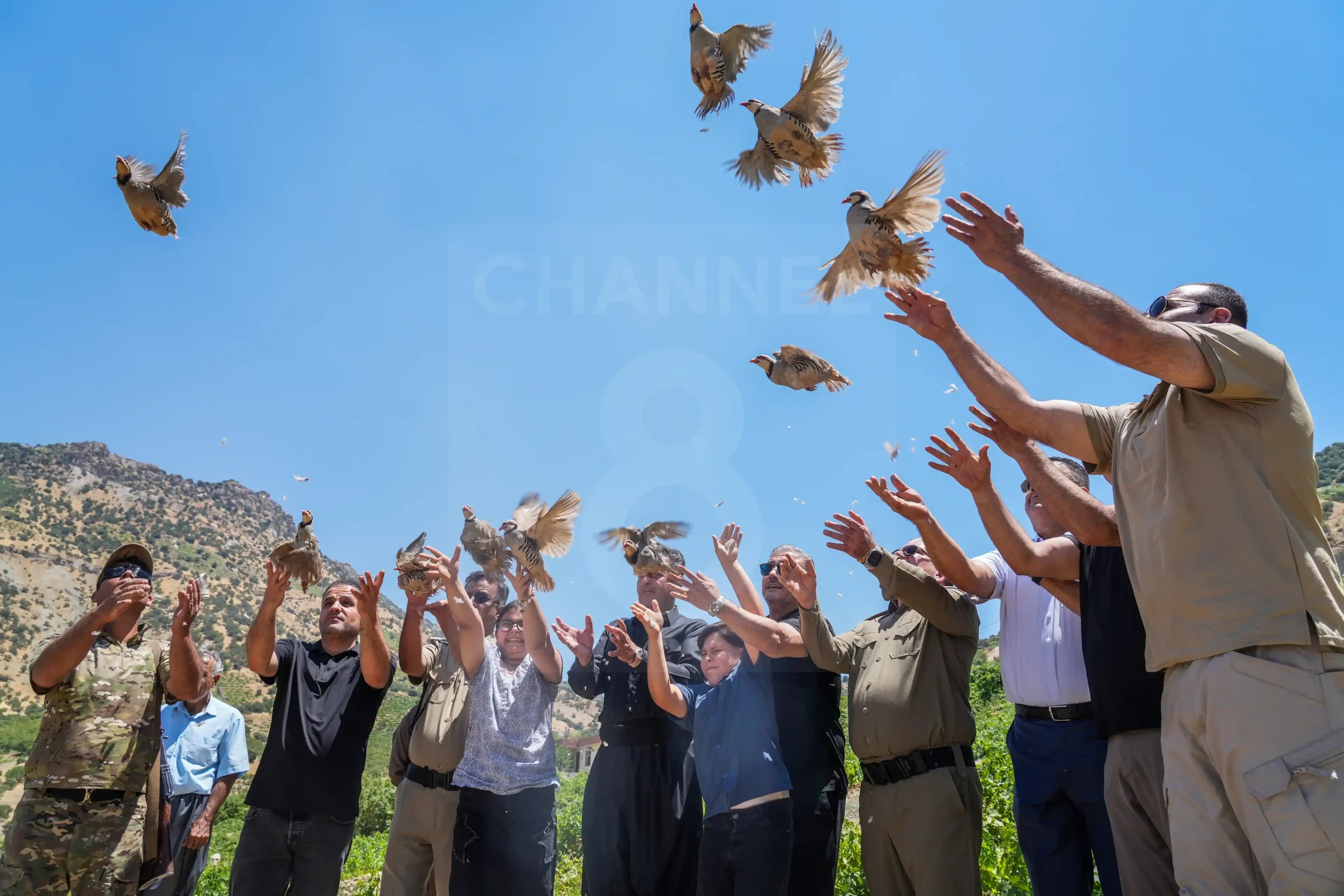 Citizen Returns More Than 1,000 Partridges to Kurdistan’s Ecosystem