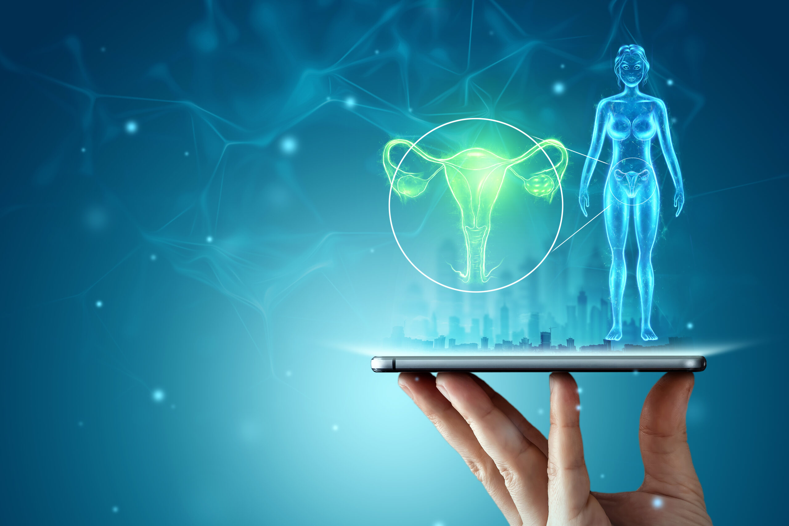 Hologram of the female body and a uterus