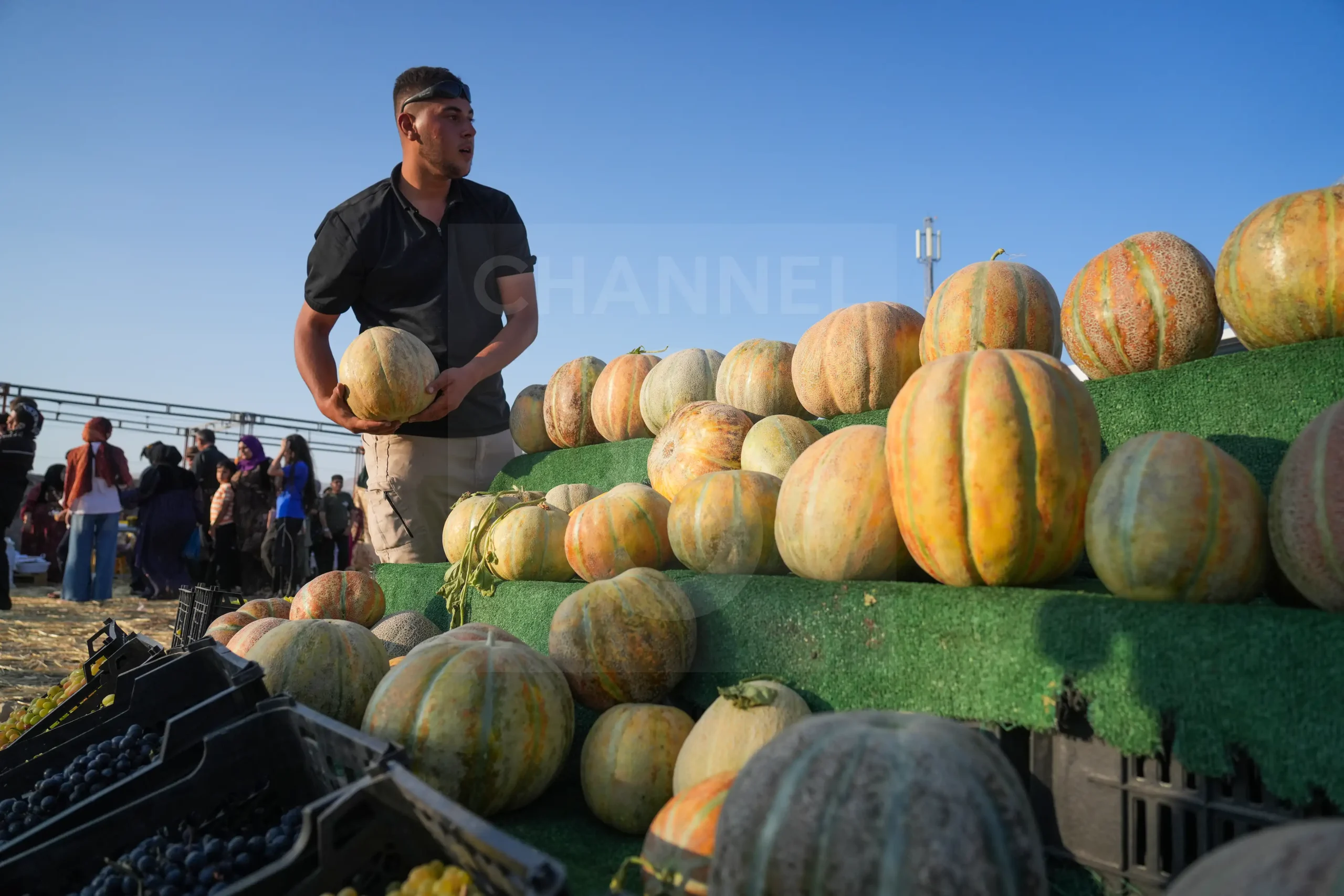 Slemani’s Zale plain hosts premium Kurdish melon festival 