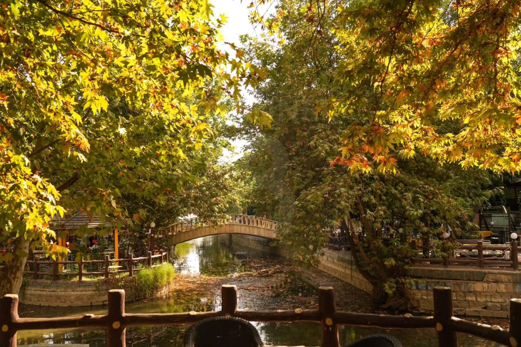 Autumn's embrace over Slemani
