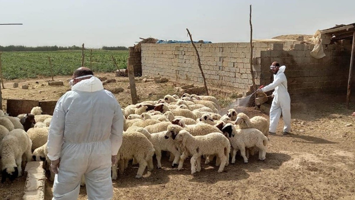 Irak Sağlık Bakanlığı kanamalı ateş için uyardı