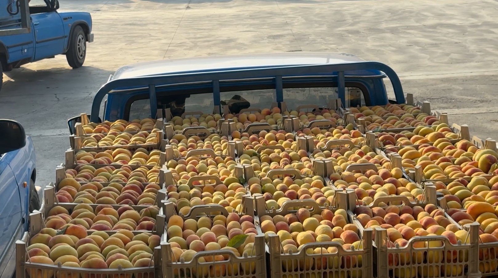 Şino Toptancı Pazarı Bölgesel Tarım Ticaretinin Merkezi Haline Geldi